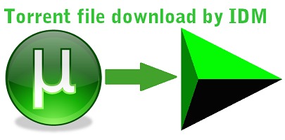 Download torrent files with idm free